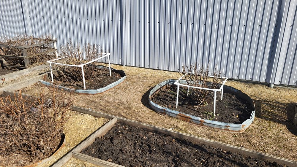 Продам дачу район Пестрого