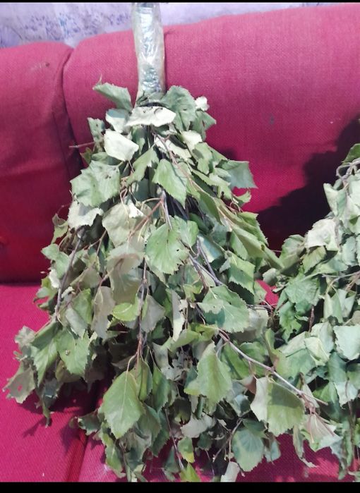 Берёзовые веники свежие