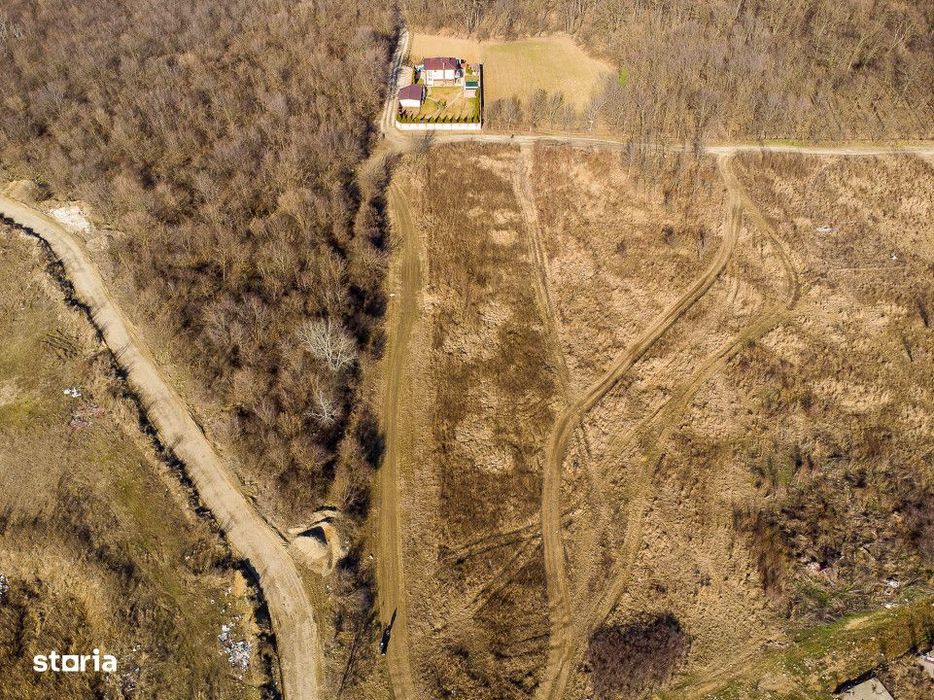 Teren intravilan Magurele langa padurea Cornetu si Arges