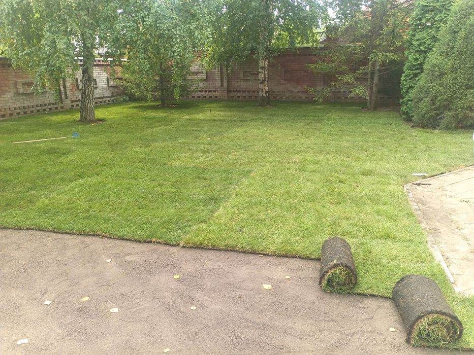 Озеленение участка