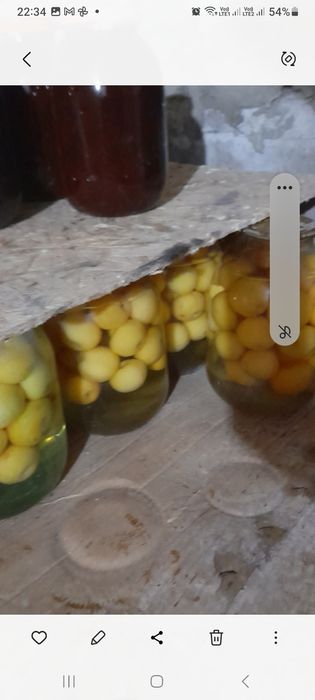 Продам соленье,  варенье,  кампот