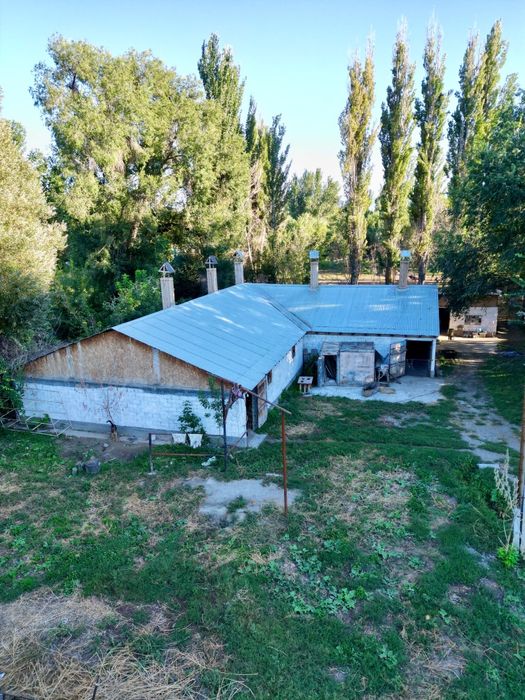 Продам фазенду, откорм базу