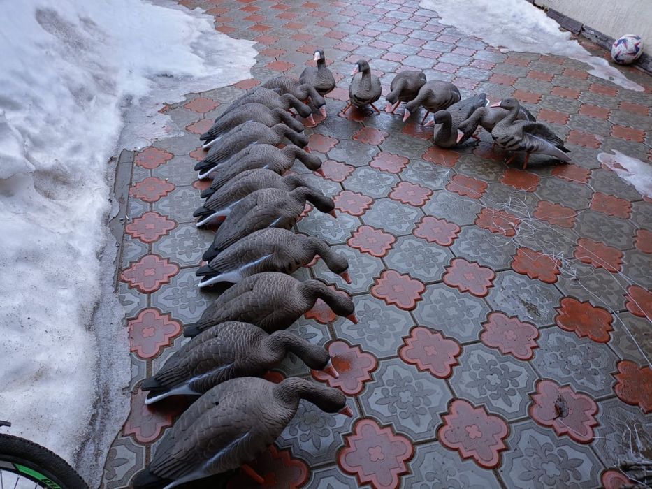 Срочно! Сатылады