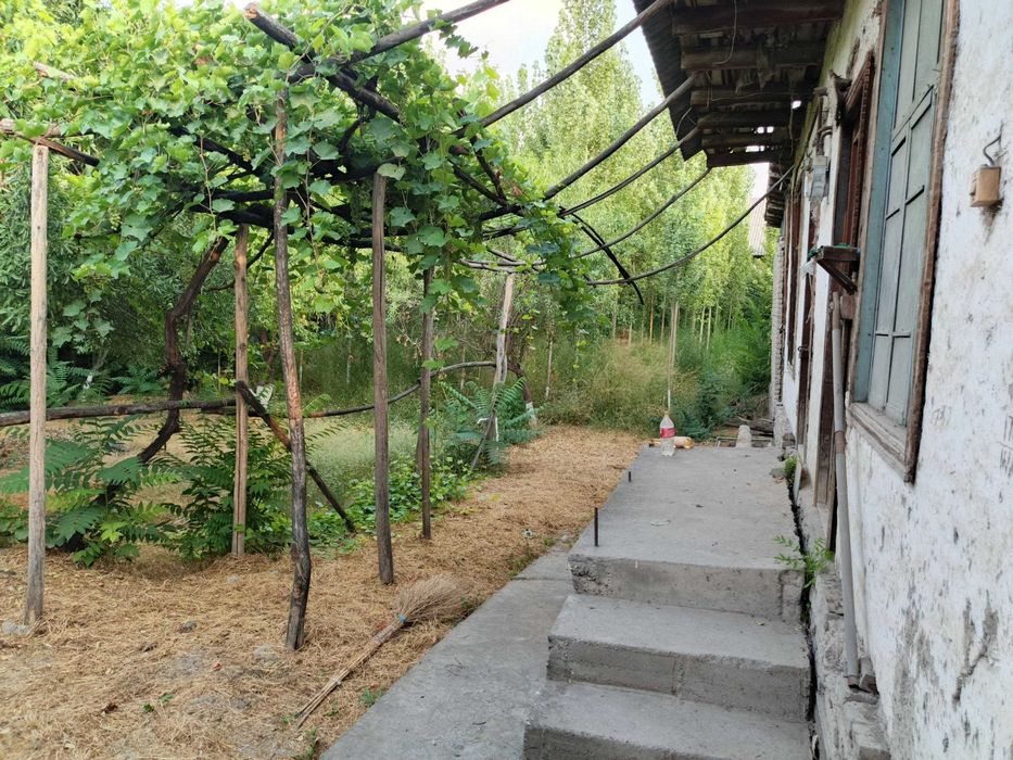 Yer sotiladi! 9 sotix Oltinkol tuman Saroy MFY