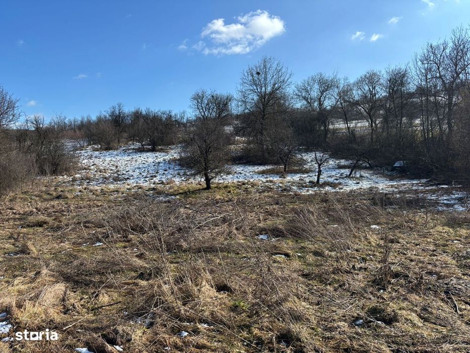 Teren intravilan Suceagu