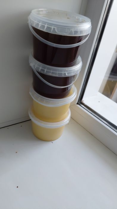 Мёд свежий Качирский