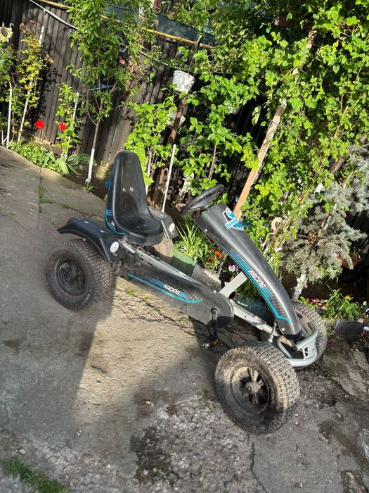 Vind cart DINO CARS coii/adulti