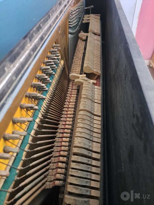 Pianina sotiladi holati ortacha