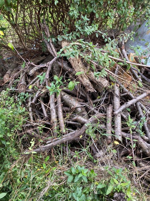 Vind lemne foc brad , resturi construcții și pomi uscați