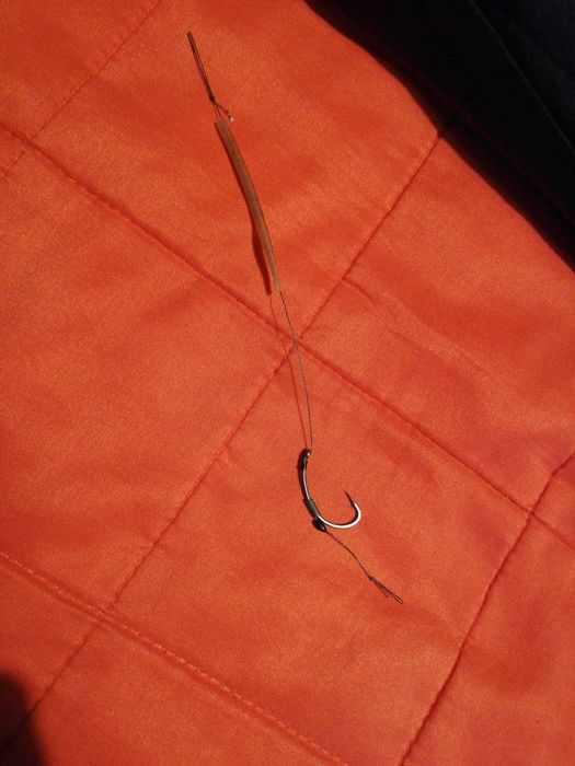 Monturi pescuit crap