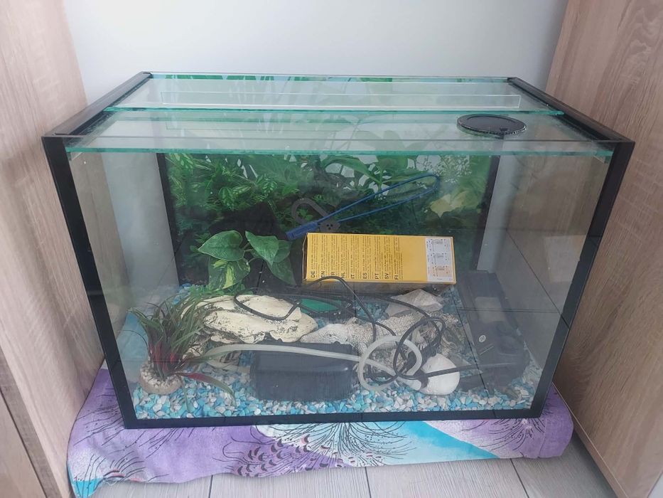 Аквариум за рибки