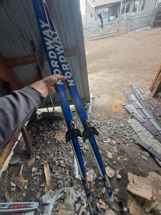 Продаю лыжи не дорого