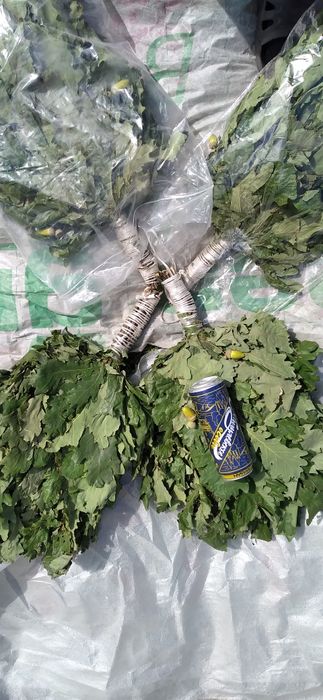 Веники дубовые !