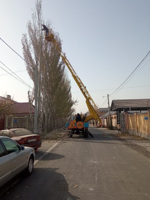 Спил деревья любых сложностей