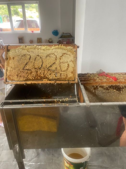 Vând miere tei 300 kg 18 lei