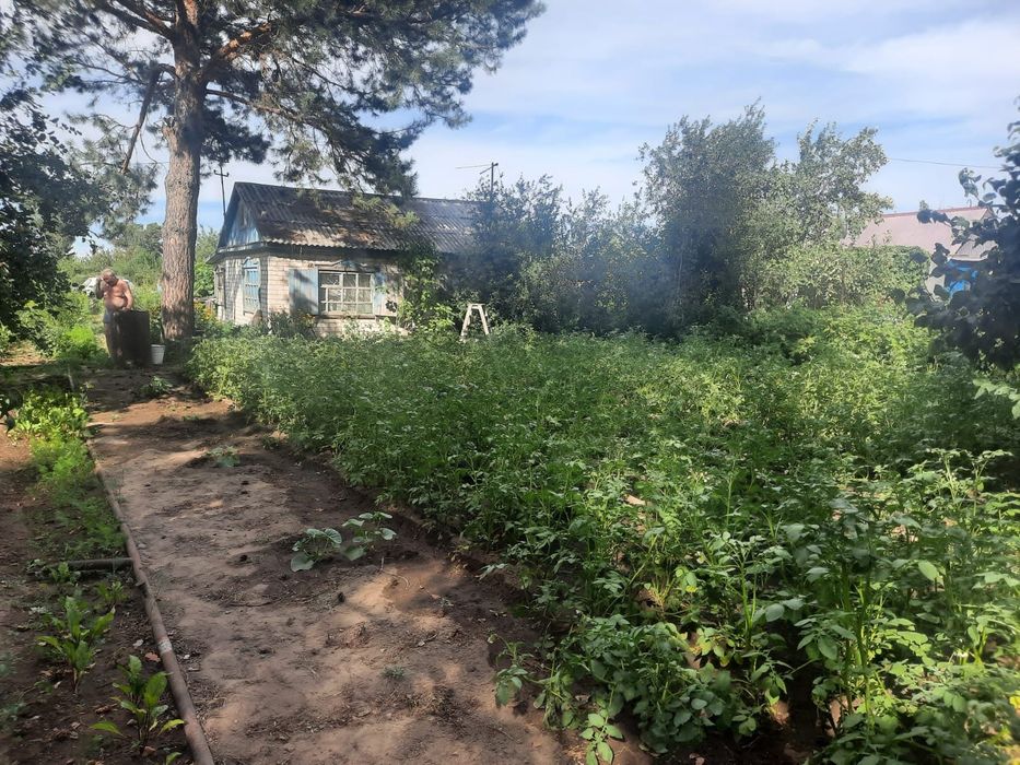 Сдам в аренду дачу