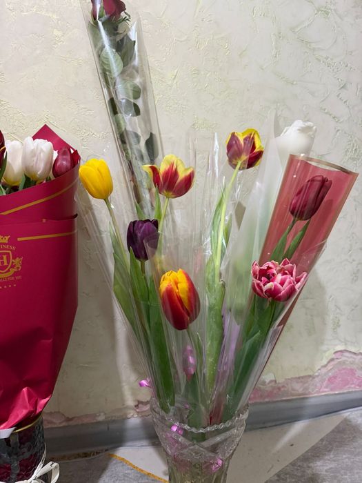 Свежие тюльпаны разные