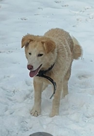 В добрые руки малыш