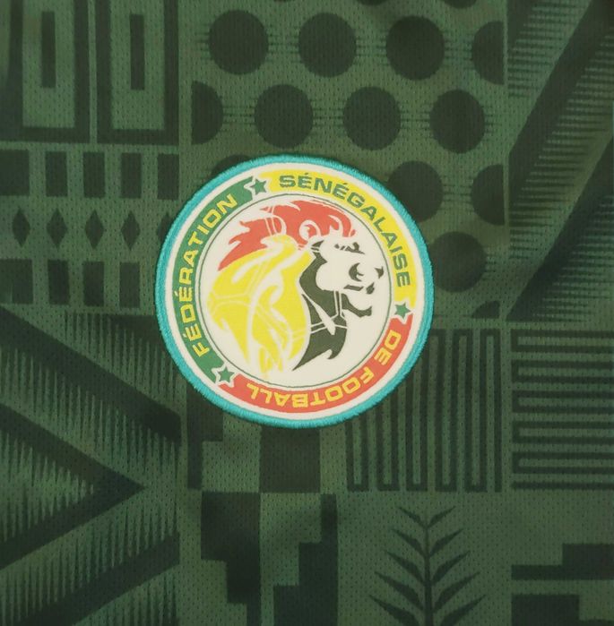 Tricou Puma Senegal DryCell