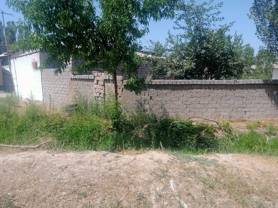 Srochna Toshkent viloyati O'rta Chirchiq tumani Angor q.f.y Yuqori ovu