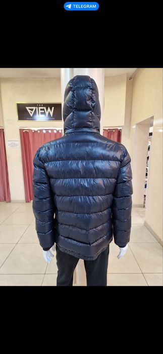 Зимняя курька Lacoste