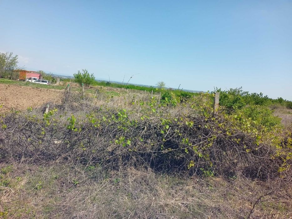 Продава се Земеделски имот в с. Брестник, Област Пловдив -  кв.м за 27000 €/дка - Снимка #4