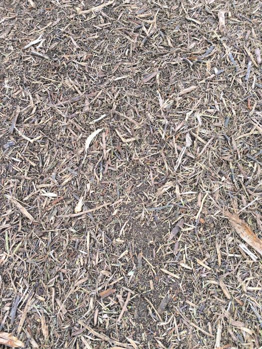 Curatare si defrisare terenuri, pasuni, livada