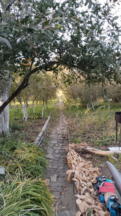 Продам дачу на правом берегу