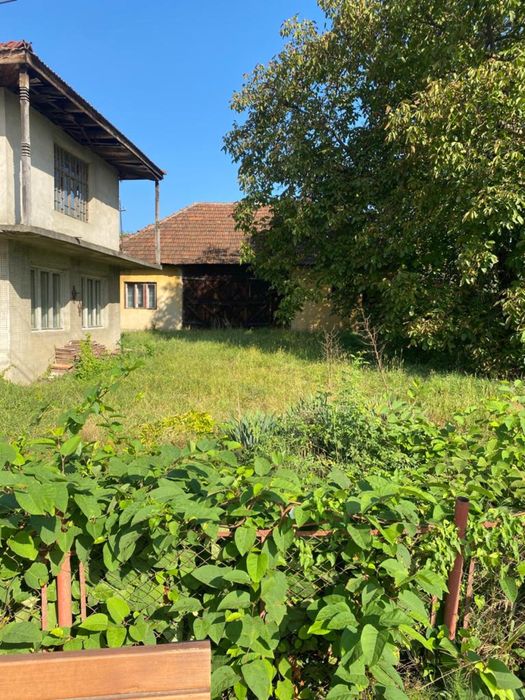 Servicii de defrișat, curățat, cosit, tuns și nu numai