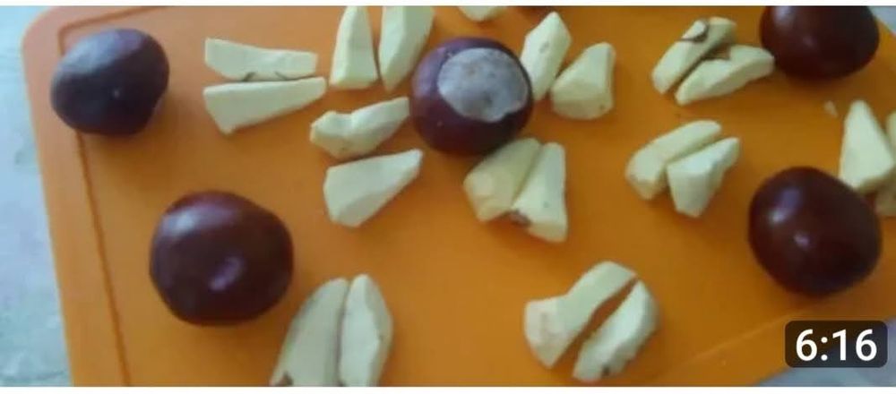 Плоды конского каштана