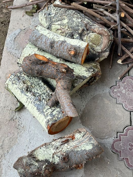 Фруктовые деревья