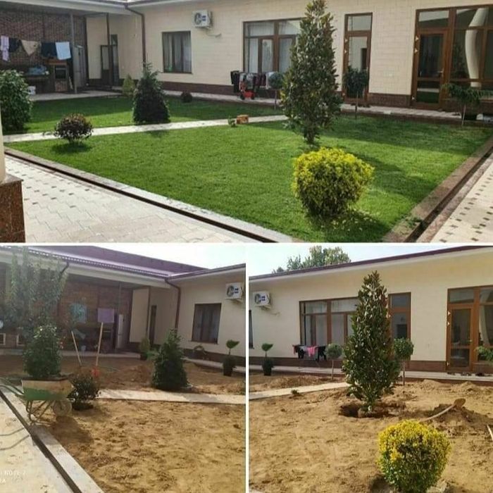 Gazon va poliv sistema