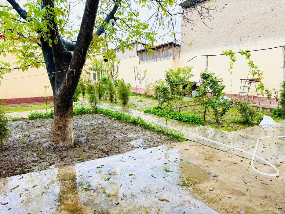 6-соток. Продаётся дом. Кренкель.