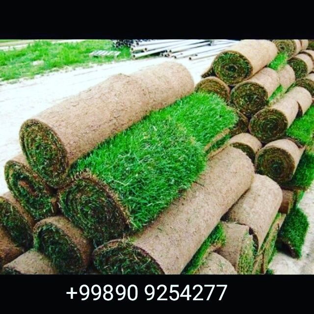 Газон, Дания оптом.³ от 40000, 45000 сўм