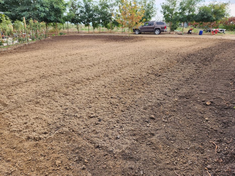 Amenajări, intretinere curți, gradini, spatii verzi, arat, frezat sol.