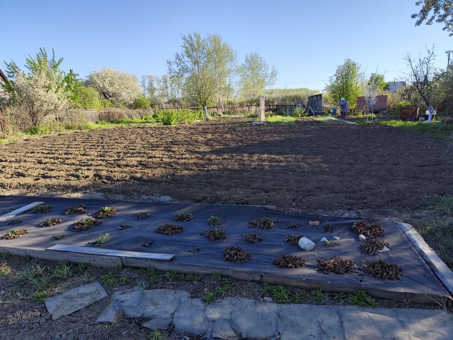 Продам дачу на Орленке