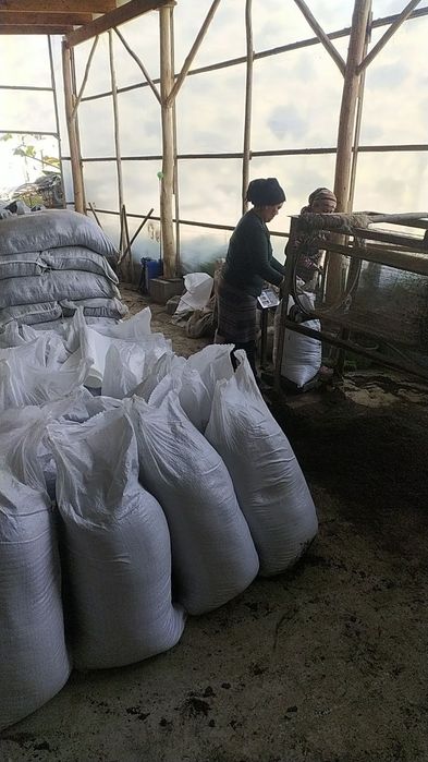 Биогумус biogumus arzon