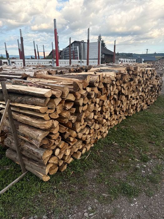Lemne de foc brad - Preț accesibil, livrare în Sovata