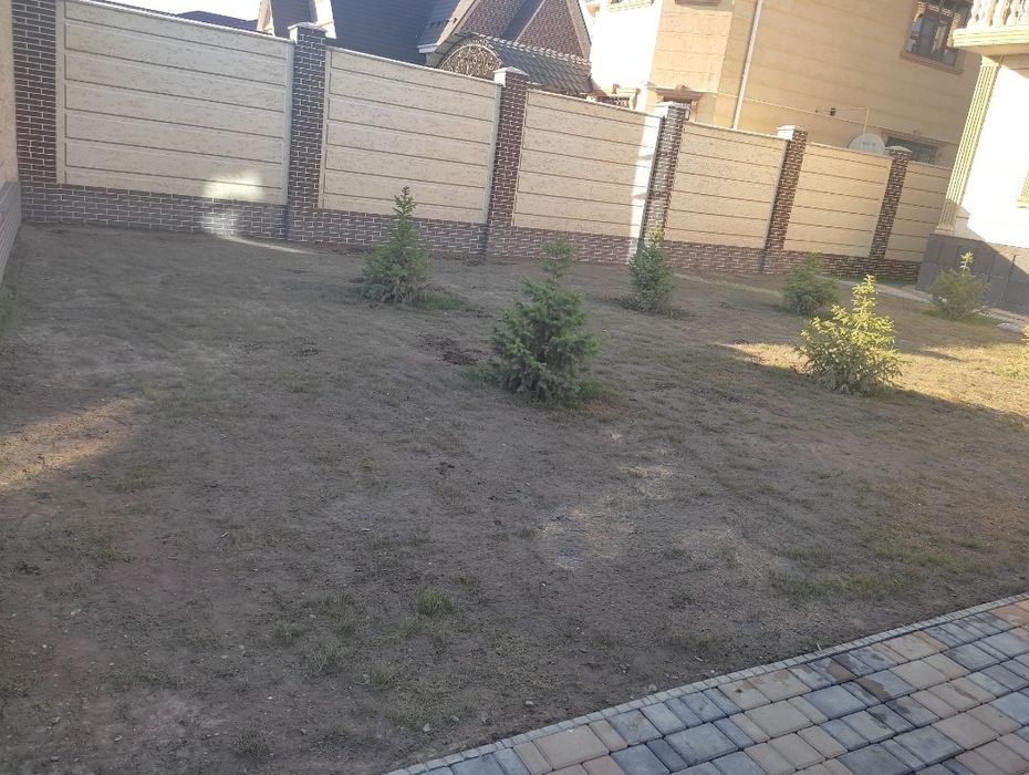 ГАЗОН Посадка Укладка