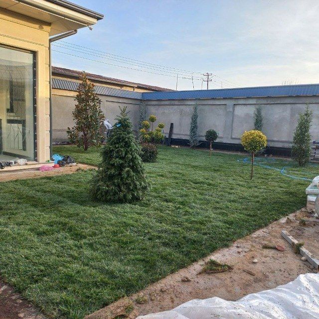 Arch gul dekratif daraxtlar ekish gazon ekish