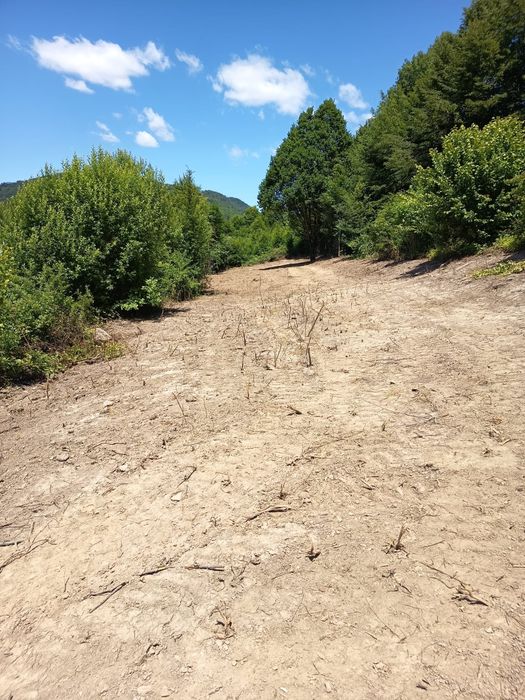 Teren intravilan de vânzare