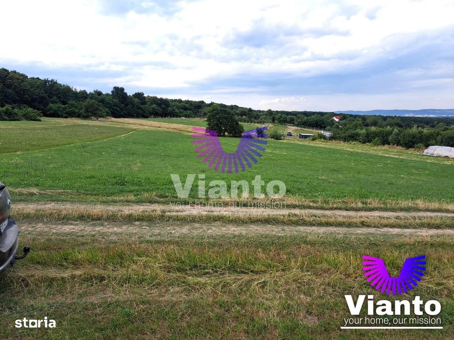 Oportunitate-Teren Extravilan 3100 mp cu vedere Panoramica-Tropinii No