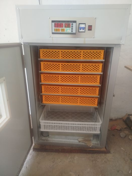 Инкубатор 500 яиц бу