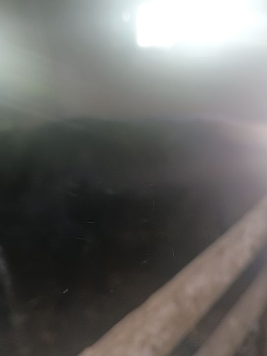Букалар бар сатылады
