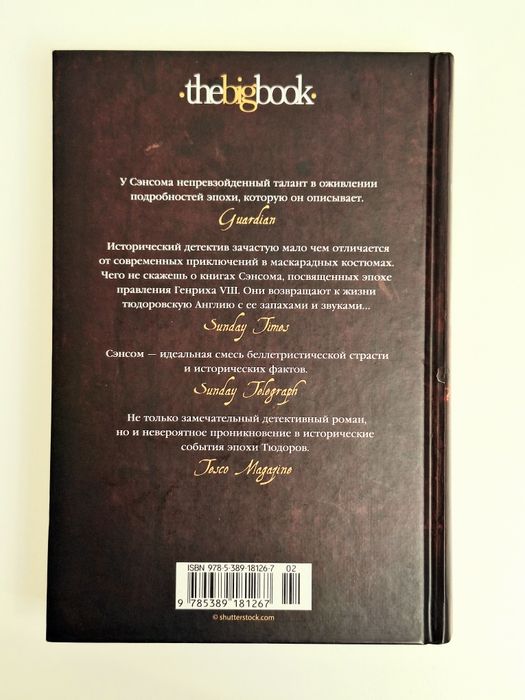 «Темный огонь», автор: К.Дж.Сэнсом