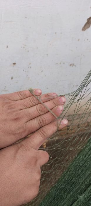 Baliq ovlash uchun ohon