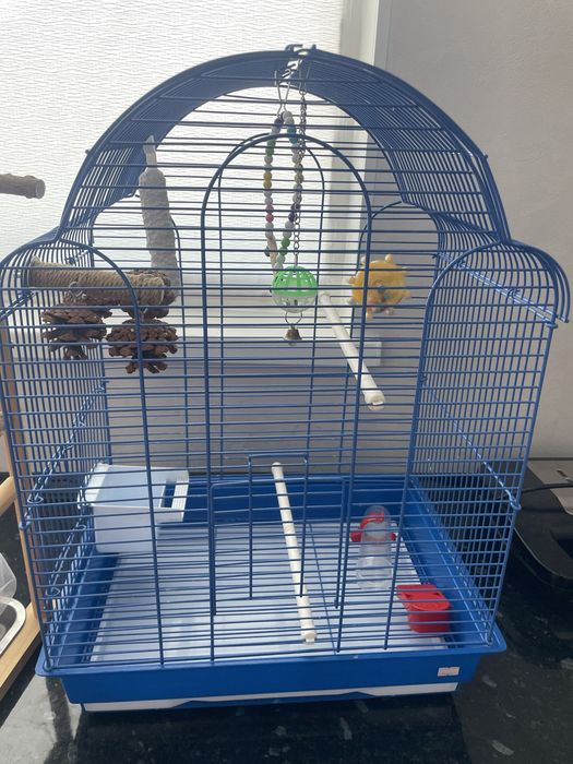 Клетка + игровая