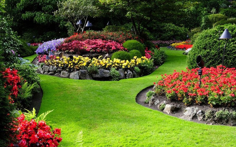 Archa.Gazon.Gullar.Daraxtlar