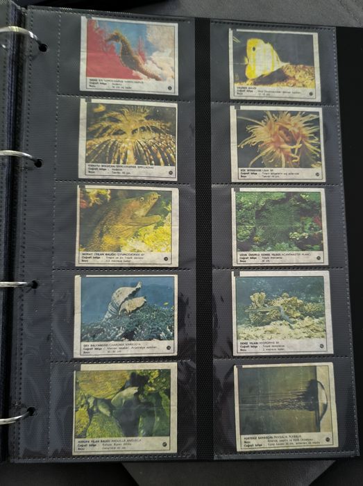 Картинки от дъвки- колекционирам, продажба, замяна!