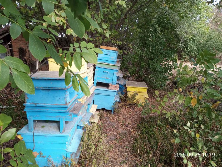 Продава се Къща в Русе, в.з. Касева Чешма - 60 кв.м за 1100 €/кв.м - Снимка #4